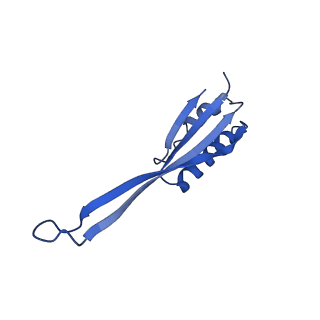 11751_7af3_J_v1-1
Bacterial 30S ribosomal subunit assembly complex state M (head domain)