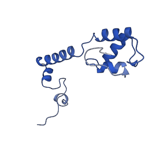 11751_7af3_M_v1-1
Bacterial 30S ribosomal subunit assembly complex state M (head domain)