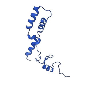 11751_7af3_N_v1-1
Bacterial 30S ribosomal subunit assembly complex state M (head domain)