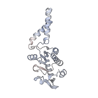 11753_7af5_B_v1-1
Bacterial 30S ribosomal subunit assembly complex state I (head domain)