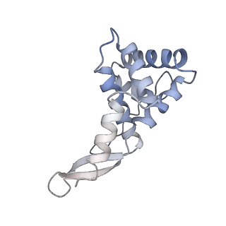 11753_7af5_G_v1-1
Bacterial 30S ribosomal subunit assembly complex state I (head domain)