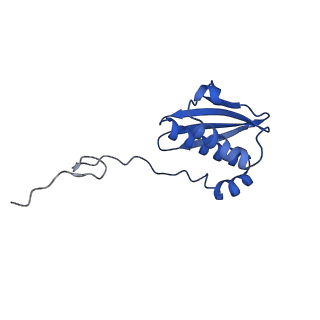 11753_7af5_I_v1-1
Bacterial 30S ribosomal subunit assembly complex state I (head domain)