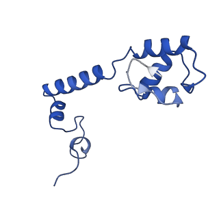 11753_7af5_M_v1-1
Bacterial 30S ribosomal subunit assembly complex state I (head domain)