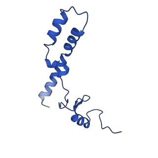11753_7af5_N_v1-1
Bacterial 30S ribosomal subunit assembly complex state I (head domain)