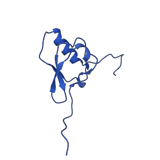 11753_7af5_S_v1-1
Bacterial 30S ribosomal subunit assembly complex state I (head domain)
