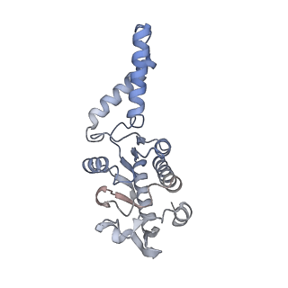 11756_7af8_B_v1-1
Bacterial 30S ribosomal subunit assembly complex state E (head domain)