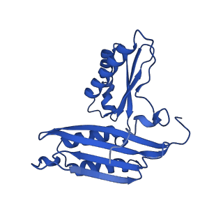 11756_7af8_C_v1-1
Bacterial 30S ribosomal subunit assembly complex state E (head domain)