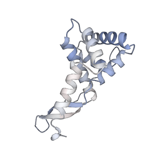 11756_7af8_G_v1-1
Bacterial 30S ribosomal subunit assembly complex state E (head domain)