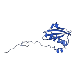 11756_7af8_I_v1-1
Bacterial 30S ribosomal subunit assembly complex state E (head domain)