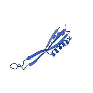 11756_7af8_J_v1-1
Bacterial 30S ribosomal subunit assembly complex state E (head domain)