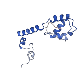 11756_7af8_M_v1-1
Bacterial 30S ribosomal subunit assembly complex state E (head domain)