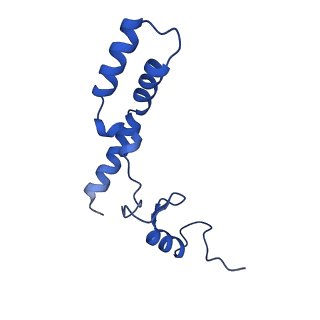 11756_7af8_N_v1-1
Bacterial 30S ribosomal subunit assembly complex state E (head domain)