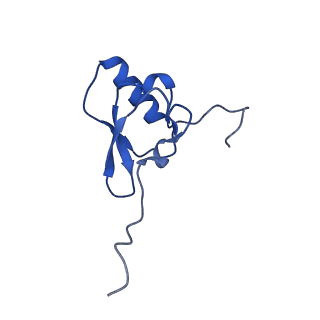 11756_7af8_S_v1-1
Bacterial 30S ribosomal subunit assembly complex state E (head domain)