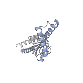 11758_7afa_B_v1-1
Bacterial 30S ribosomal subunit assembly complex state F (head domain)