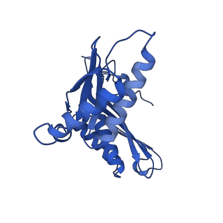 11758_7afa_C_v1-1
Bacterial 30S ribosomal subunit assembly complex state F (head domain)