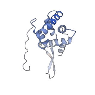 11758_7afa_G_v1-1
Bacterial 30S ribosomal subunit assembly complex state F (head domain)