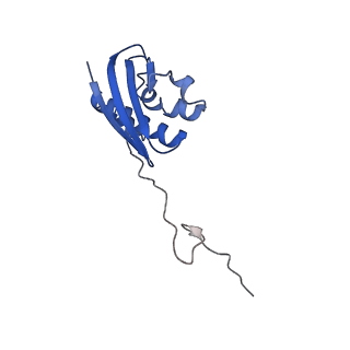 11758_7afa_I_v1-1
Bacterial 30S ribosomal subunit assembly complex state F (head domain)