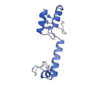 11758_7afa_M_v1-1
Bacterial 30S ribosomal subunit assembly complex state F (head domain)