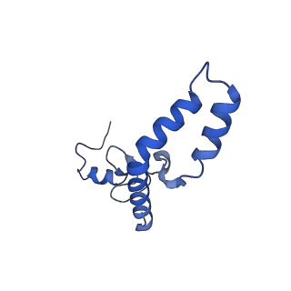 11758_7afa_N_v1-1
Bacterial 30S ribosomal subunit assembly complex state F (head domain)