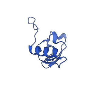 11758_7afa_S_v1-1
Bacterial 30S ribosomal subunit assembly complex state F (head domain)