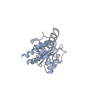 11761_7afd_B_v1-1
Bacterial 30S ribosomal subunit assembly complex state A (head domain)