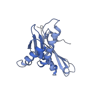 11761_7afd_C_v1-1
Bacterial 30S ribosomal subunit assembly complex state A (head domain)