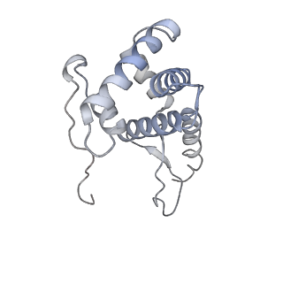 11761_7afd_G_v1-1
Bacterial 30S ribosomal subunit assembly complex state A (head domain)