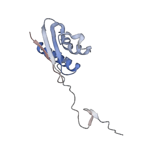 11761_7afd_I_v1-1
Bacterial 30S ribosomal subunit assembly complex state A (head domain)