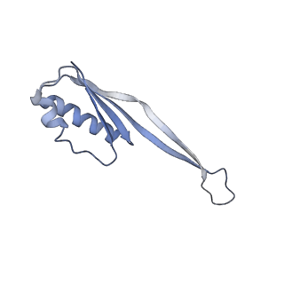 11761_7afd_J_v1-1
Bacterial 30S ribosomal subunit assembly complex state A (head domain)