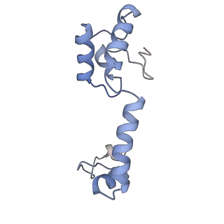 11761_7afd_M_v1-1
Bacterial 30S ribosomal subunit assembly complex state A (head domain)