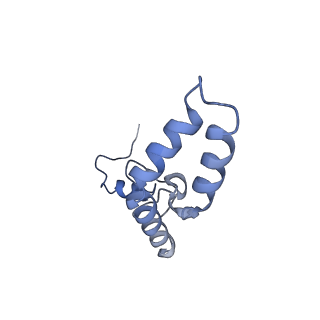 11761_7afd_N_v1-1
Bacterial 30S ribosomal subunit assembly complex state A (head domain)