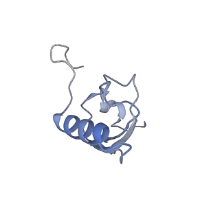 11761_7afd_S_v1-1
Bacterial 30S ribosomal subunit assembly complex state A (head domain)