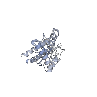 11765_7afh_B_v1-1
Bacterial 30S ribosomal subunit assembly complex state C (head domain)