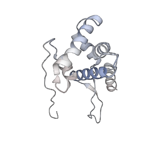 11765_7afh_G_v1-1
Bacterial 30S ribosomal subunit assembly complex state C (head domain)