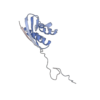 11765_7afh_I_v1-1
Bacterial 30S ribosomal subunit assembly complex state C (head domain)