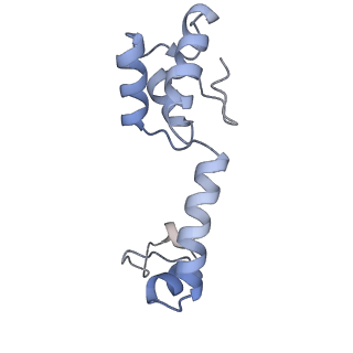 11765_7afh_M_v1-1
Bacterial 30S ribosomal subunit assembly complex state C (head domain)