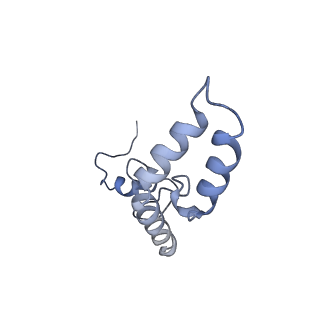 11765_7afh_N_v1-1
Bacterial 30S ribosomal subunit assembly complex state C (head domain)