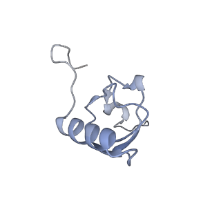 11765_7afh_S_v1-1
Bacterial 30S ribosomal subunit assembly complex state C (head domain)
