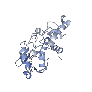 11766_7afi_D_v1-1
Bacterial 30S ribosomal subunit assembly complex state C (body domain)