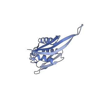 11766_7afi_E_v1-1
Bacterial 30S ribosomal subunit assembly complex state C (body domain)