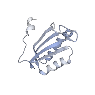 11766_7afi_F_v1-1
Bacterial 30S ribosomal subunit assembly complex state C (body domain)