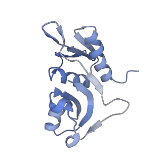 11766_7afi_H_v1-1
Bacterial 30S ribosomal subunit assembly complex state C (body domain)