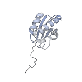 11766_7afi_K_v1-1
Bacterial 30S ribosomal subunit assembly complex state C (body domain)
