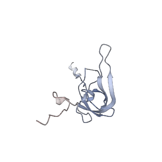 11766_7afi_L_v1-1
Bacterial 30S ribosomal subunit assembly complex state C (body domain)