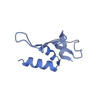 11766_7afi_P_v1-1
Bacterial 30S ribosomal subunit assembly complex state C (body domain)