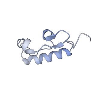 11766_7afi_R_v1-1
Bacterial 30S ribosomal subunit assembly complex state C (body domain)