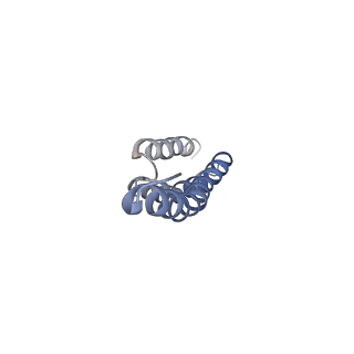 11766_7afi_T_v1-1
Bacterial 30S ribosomal subunit assembly complex state C (body domain)