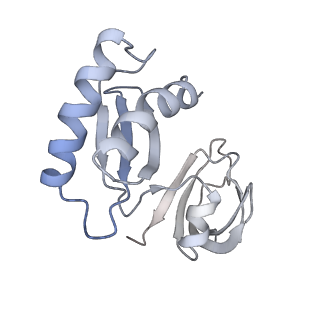 11766_7afi_X_v1-1
Bacterial 30S ribosomal subunit assembly complex state C (body domain)