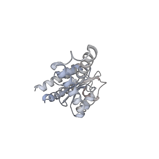 11768_7afk_B_v1-1
Bacterial 30S ribosomal subunit assembly complex state D (head domain)