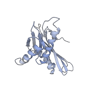 11768_7afk_C_v1-1
Bacterial 30S ribosomal subunit assembly complex state D (head domain)